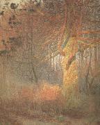 Emile Claus Tree in the Sun (nn02) oil painting on canvas